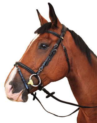 Bridle "Tryon" 10280