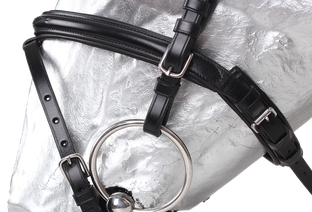 Bridle "Tryon" 10280