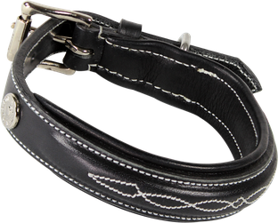 Dog collar 9091
